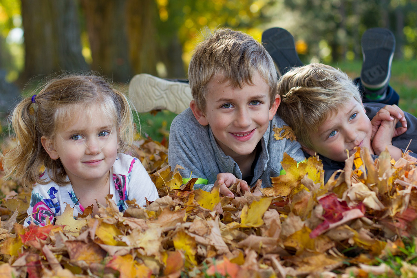 {Family Photographer in Hockley} - Gallery - Frank Myrland Photography