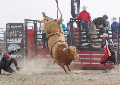 Orangeville Rodeo 2018 Bull Riding