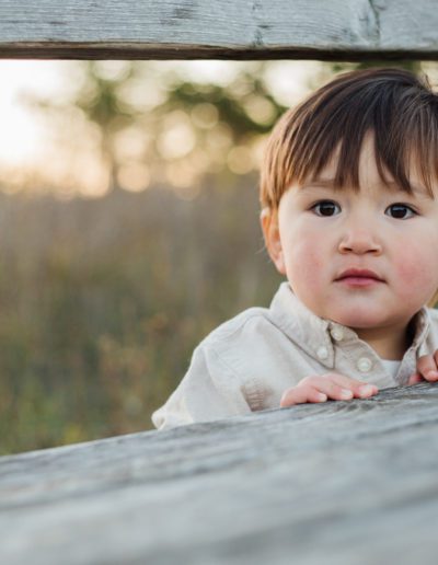 Orangeville Island Lake Autumn Family Portrait Session with Frank Myrland Photography