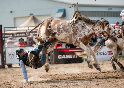 Action and sports photography of bucking broncos at the 2025 Headwaters Ram Rodeo at Orangeville Fairgrounds by Frank Myrland Photography