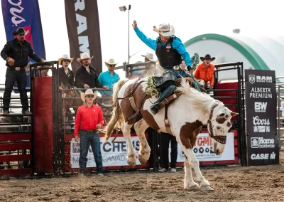 Action and sports photography of bucking broncos at the 2025 Headwaters Ram Rodeo at Orangeville Fairgrounds by Frank Myrland Photography